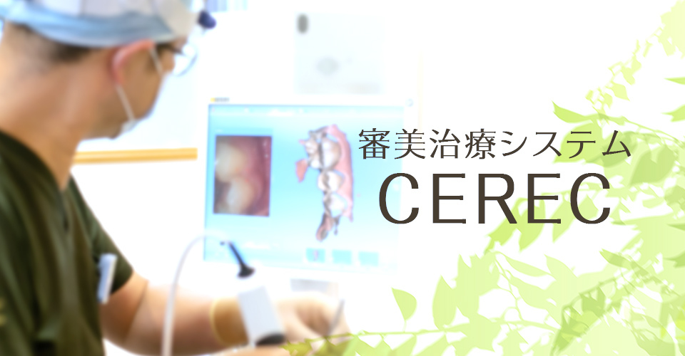 審美治療システム CEREC